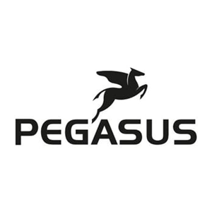 Pegasus pagina della Marca | EurekaBike