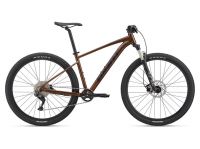 City Bike Elettrica Bottecchia BE21 EVO Man - 2021 - Grigio Nero - 48  (Iaccobike - Sassuolo)NUOVO, dal negozio Iaccobike di Sassuolo Italy