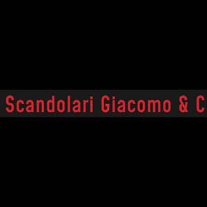 Scandolari Giacomo and C pagina del Venditore | EurekaBike